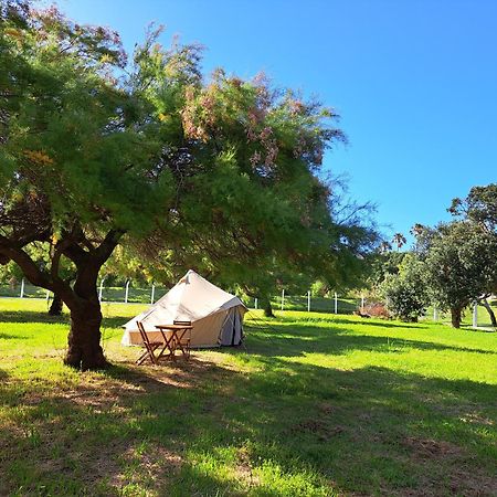 Bearsu Nature Almoxarife Horta  Εξωτερικό φωτογραφία